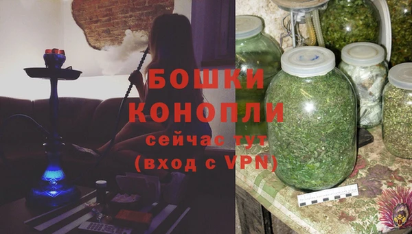 прущие крисы Медвежьегорск