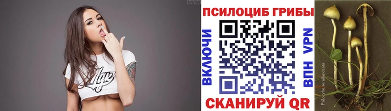 где найти   дарк нет клад  Псилоцибиновые грибы мухоморы  Хадыженск 